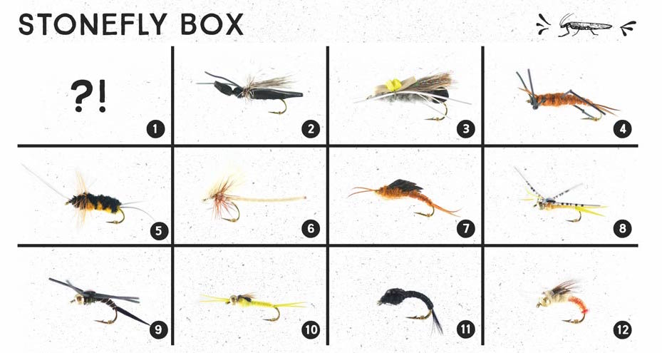 Past Boxes: The Stonefly BugCycle Box