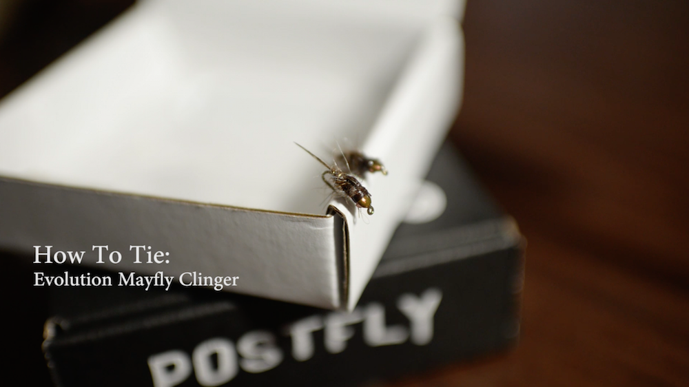 VIDEO: How To Tie The Evolution Clinger Mayfly
