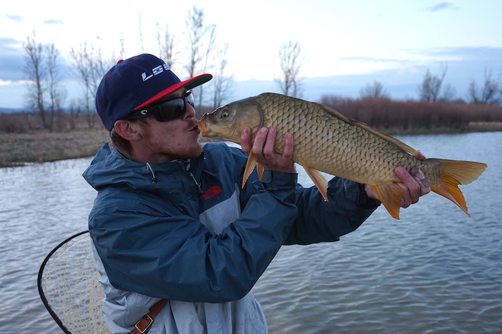How To Catch Carp On The Fly Like A Jedi Master