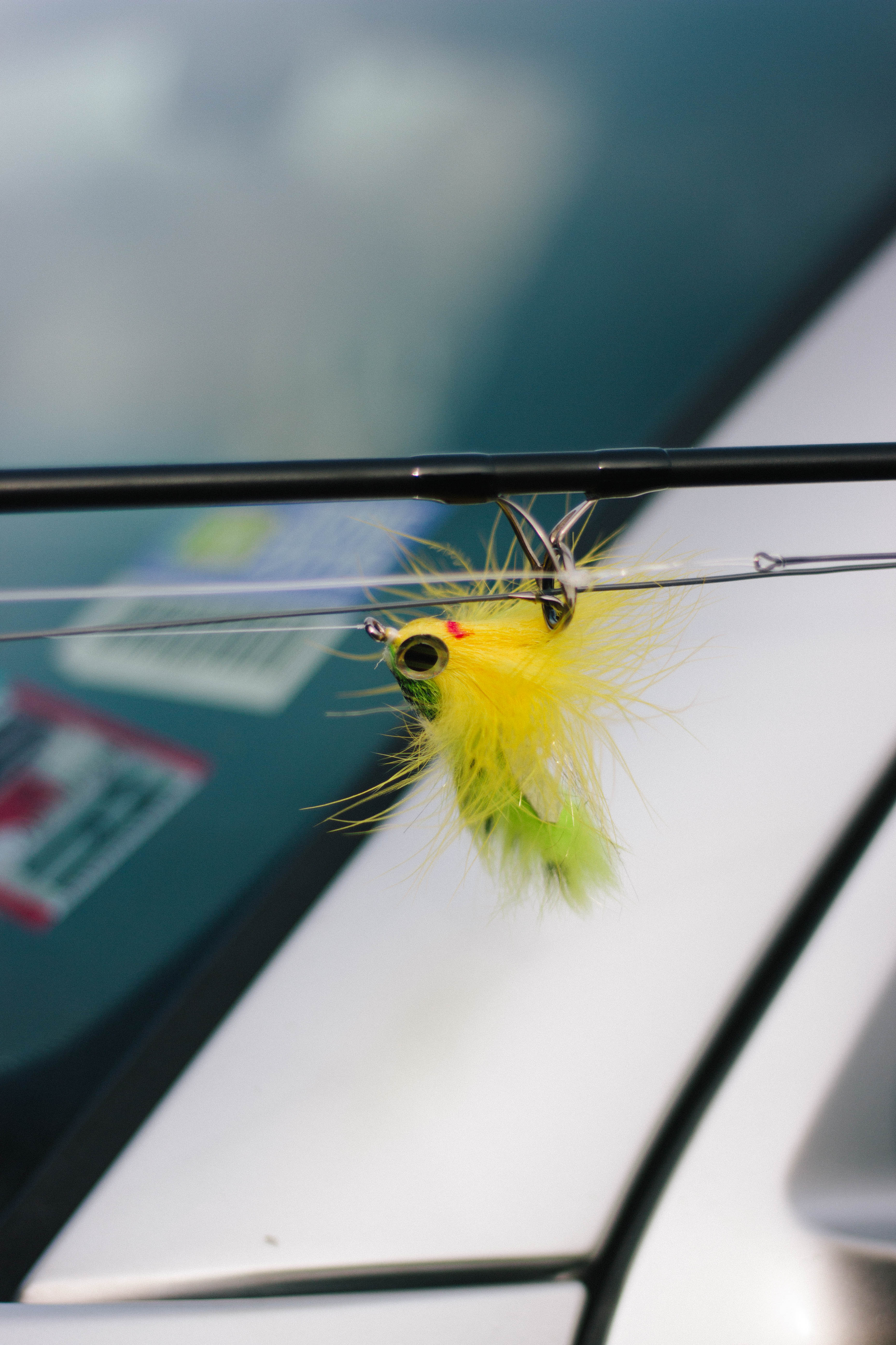 Fly Fishing For Smallmouth Bass Gear Essentials The Wade