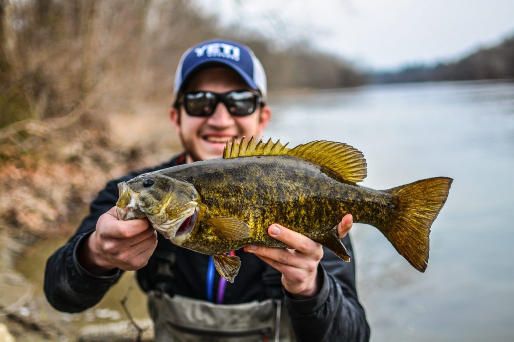Fly Fishing For Smallmouth Bass Gear Essentials The Wade