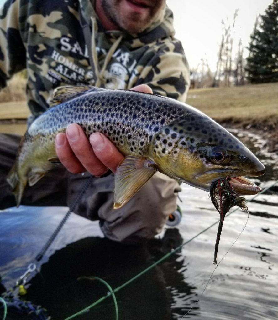 How to Fish Streamers in the Winter for Big Trout The Wade