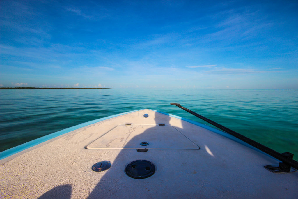 Why You Need to Plan a DIY Fly Fishing Adventure The Wade