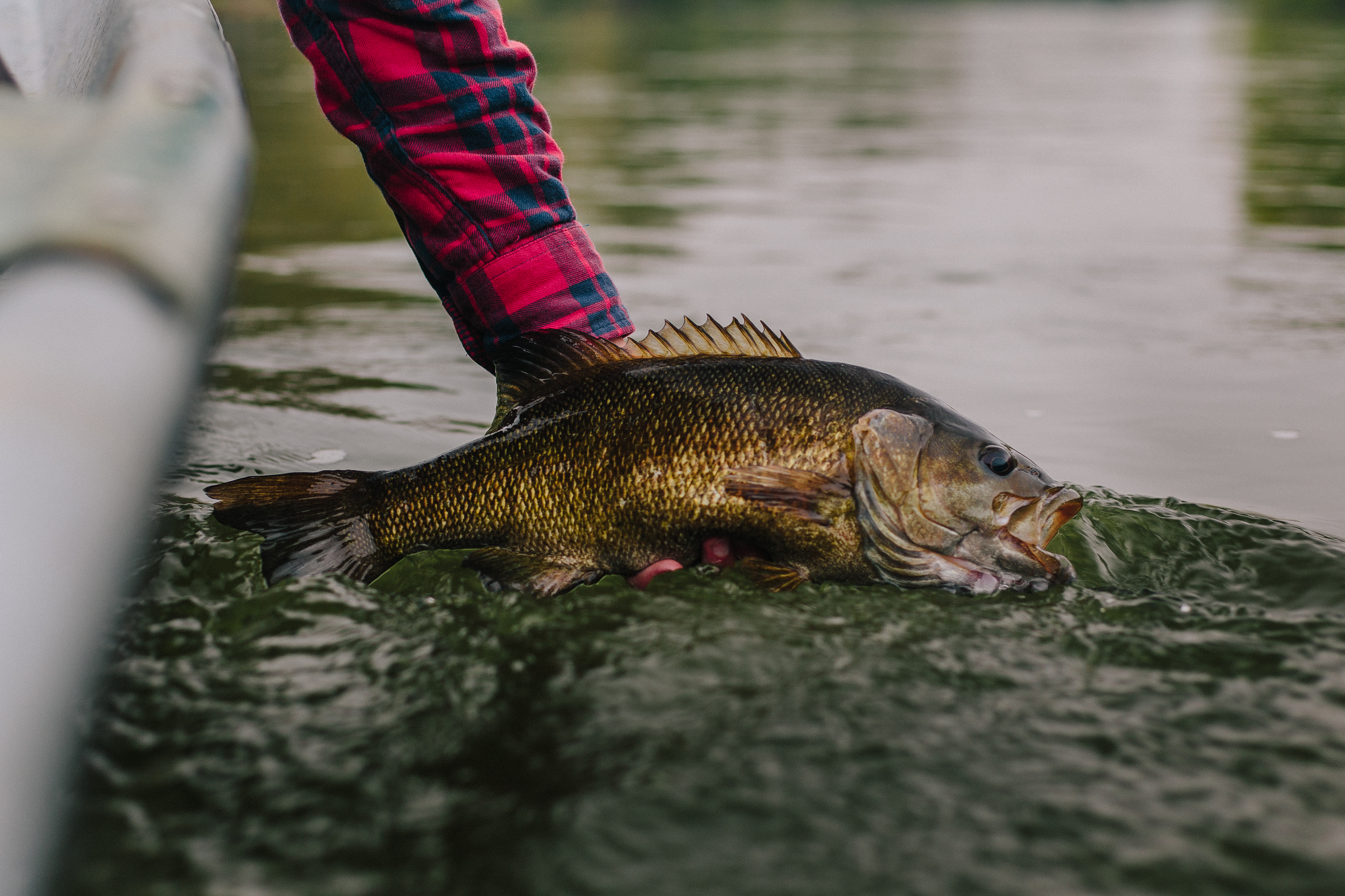 How to Cash in on Big Fall Smallmouth