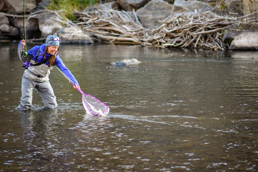 Discover How to Learn to Fly Fish The Wade