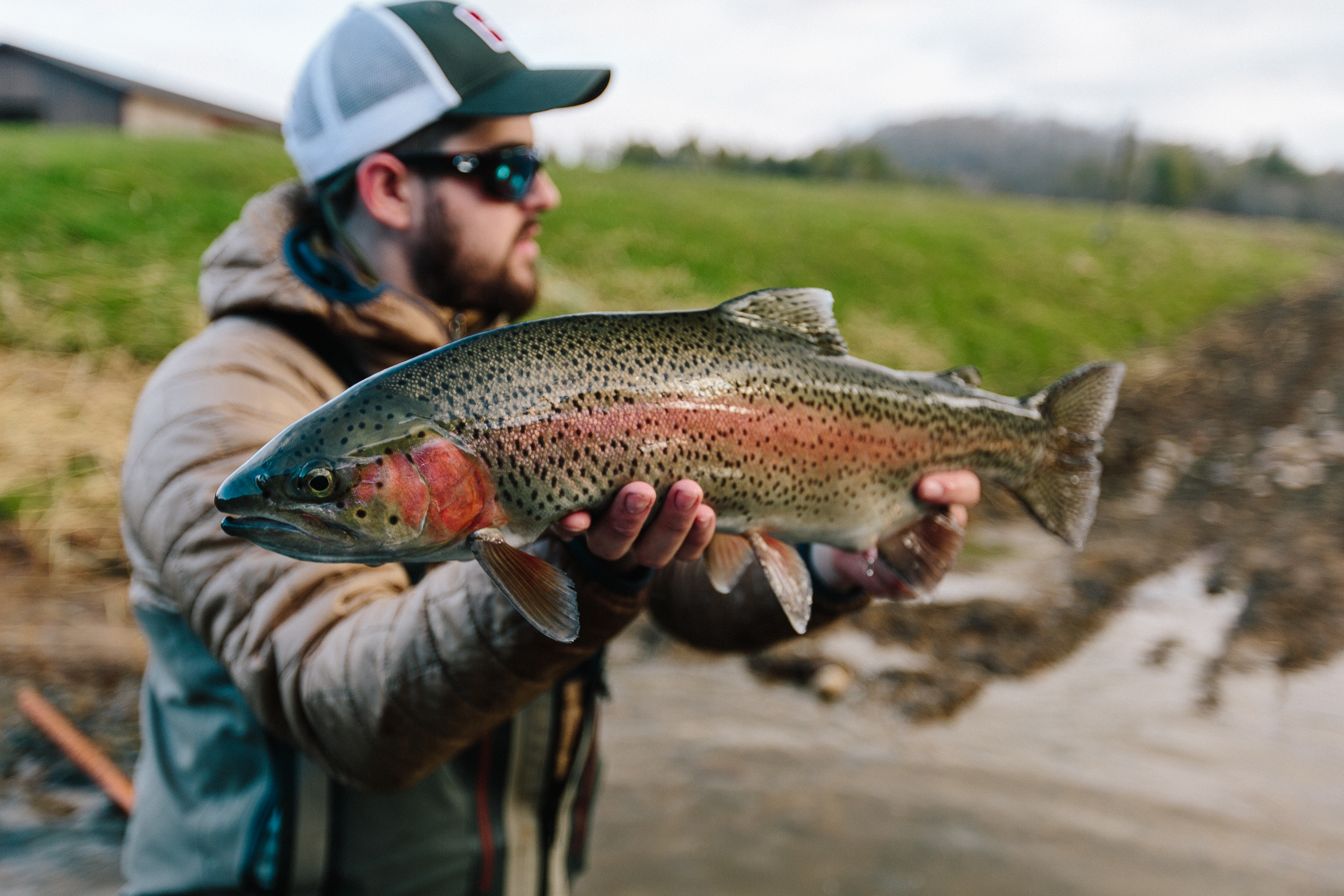 How to Fish Streamers in the Winter for Big Trout
